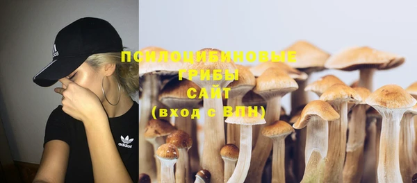 PSILOCYBIN Баксан