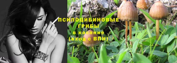 PSILOCYBIN Баксан