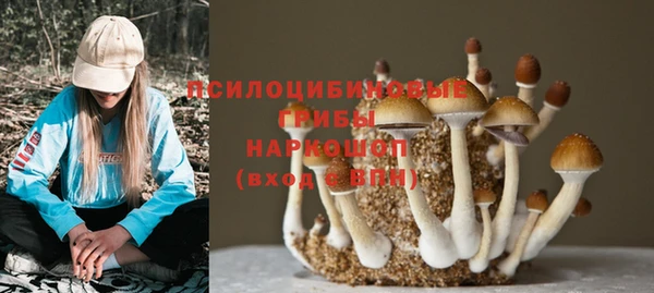 бутират Балахна