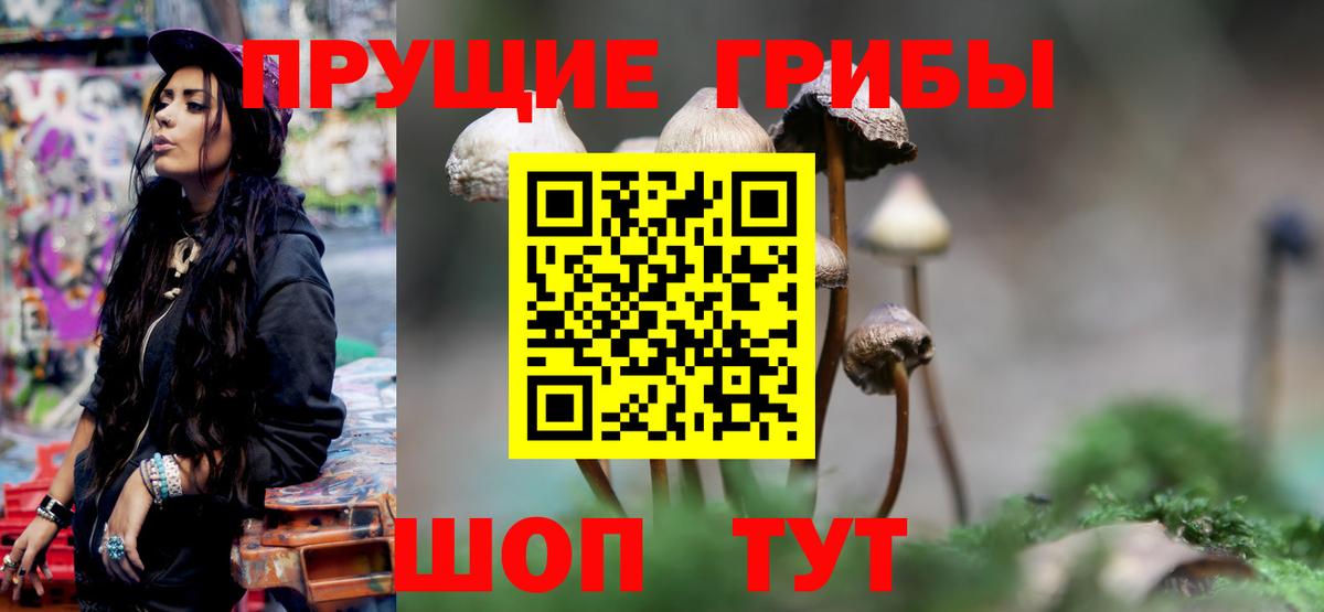 Галлюциногенные грибы прущие грибы  Вход с VPN  Кунгур 